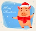 Christmas greeting card. Cute pig Royalty Free Stock Photo