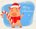 Christmas greeting card. Cute pig Royalty Free Stock Photo