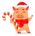 Christmas greeting card. Cute pig Royalty Free Stock Photo