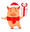 Christmas greeting card. Cute pig Royalty Free Stock Photo