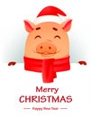 Christmas greeting card. Cute pig Royalty Free Stock Photo