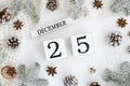 Christmas greeting card 25 december perpetual calendar on white Background. Christmas Decoration Tree branches with snow Royalty Free Stock Photo