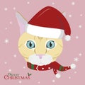 Christmas greeting card. European Shorthair cat wearing a scarf and a red Santa`s hat