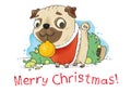 Christmas greeting card with funny pug dog Royalty Free Stock Photo