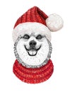 Christmas greeting card with happy winter corgi dog wearing in the knitted scarf and red hat Royalty Free Stock Photo