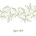 Christmas Greeting Card. Mistletoe on White Background. Text in French Joyeux Noel, in English Merry Christmas.