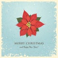 Christmas Greeting Card with Poinsettia Royalty Free Stock Photo