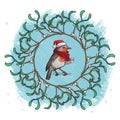 Christmas Greeting card. Robin bird in a red christmas hat and skarf. Mistletoe twigs decorative frame. Watercolor