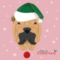 Shar Pei dog with green Santas hat and Christmas toy ball Royalty Free Stock Photo