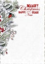 Christmas Greeting Card with snowy branches and bullfinch