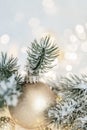 Christmas greeting postcard. Beautiful silver ball, pine branches