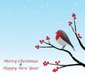 Christmas Greeting With Red Robin Sitting On Branch Royalty Free Stock Photo