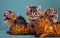 Christmas group portrait of kittens