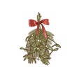 Christmas hanging mistletoe bouquet and fir with red ribbon and bow isolated