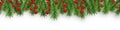 Christmas and Happy New Year decoration border with Christmas tree branches and holly berries on white background. Vector Royalty Free Stock Photo