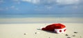 Christmas hat on a beach Royalty Free Stock Photo