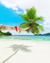 Christmas hat on palm tree at tropical ocean beach Royalty Free Stock Photo