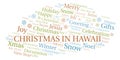 Christmas In Hawaii word cloud