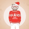Christmas Hipster fashion animal bear dressed a New Year hat