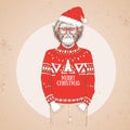 Christmas Hipster fashion animal monkey dressed in New Year hat and pullover