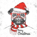 Christmas Hipster fashion animal pug-dog dressed a New Year hat