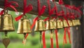 Gold metal bells hang from a wooden beam, each tied with a red ribbon. Royalty Free Stock Photo