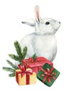 Christmas holiday animal and gift, cute arctic rabbit, winter watercolor illustration