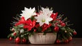 christmas holiday cactus