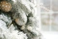 Christmas holiday card, white fir branch with toy ball near window, copy space. winter background Royalty Free Stock Photo