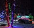 Christmas holiday colorful outdoor decorated light trees