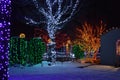 Christmas holiday colorful outdoor decorated trees