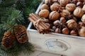 Christmas holiday composition with walnuts, hazelnuts, cinnamon