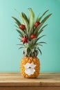 Christmas holiday concept with pineapple as alternative Christm Royalty Free Stock Photo