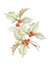 Christmas Holiday Decoration. Holly berries Branch