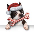 Christmas Holiday Dog Royalty Free Stock Photo