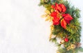 Christmas holiday faux poinsettia pine wreath with white copyspace. Royalty Free Stock Photo