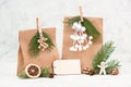 Christmas holiday gift bags for suprise, fir branches, gingerbread man, elk, snow covered berries and nuts, blank tag Royalty Free Stock Photo