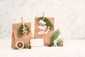 Christmas holiday gift bags for suprise, fir branches, gingerbread man, elk, snow covered berries and nuts, blank tag with copy Royalty Free Stock Photo