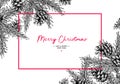 Christmas holiday greeting card with fir tree and pine cone. Vec