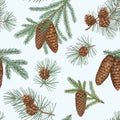 Christmas holiday seamless floral pattern with spruce, pine and cones. Winter evergreen christmas tree branches background. Vector Royalty Free Stock Photo