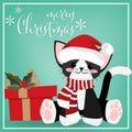 Christmas holiday season background with Cute cat with Santa hat and gift box. Royalty Free Stock Photo