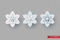 Decorative 3d snowflakes for Christmas design.