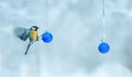 Christmas holiday table card bird flies near the glass blue balls in Park at winter