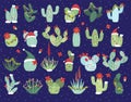 Christmas or Holiday Themed Cactus Royalty Free Stock Photo