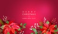 Christmas Holiday Vector Background, Season Wishes Border, Poinsettia Flowers, Pine Branches, Holly Berry