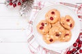 Christmas holiday white chocolate cranberry cookies Royalty Free Stock Photo