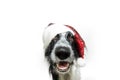 Christmas holidays pets. Puppy dog wearing a red santa claus hat. Isolated on white background Royalty Free Stock Photo