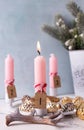 Pink burning candle, golden and silver decorative cones and bucket with branches of fir tree Royalty Free Stock Photo