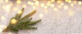 Christmas, holidays and winter concept - spruce branch on the background of a beige knitted sweater with gold bokeh and place for