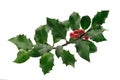 Christmas holly Royalty Free Stock Photo